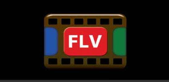 FLV视频播放器